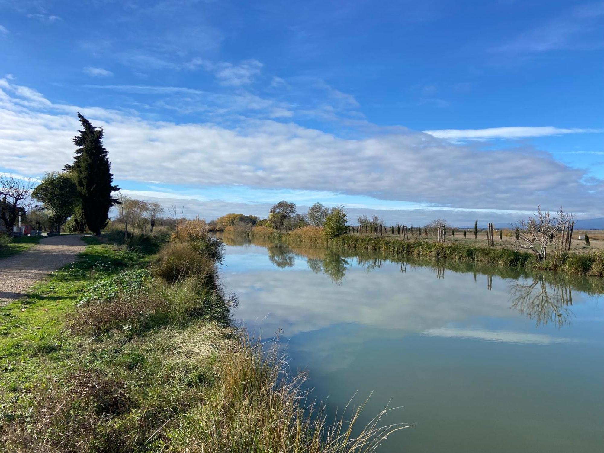 Maison, Canal Du Midi Piscine Homps  Esterno foto